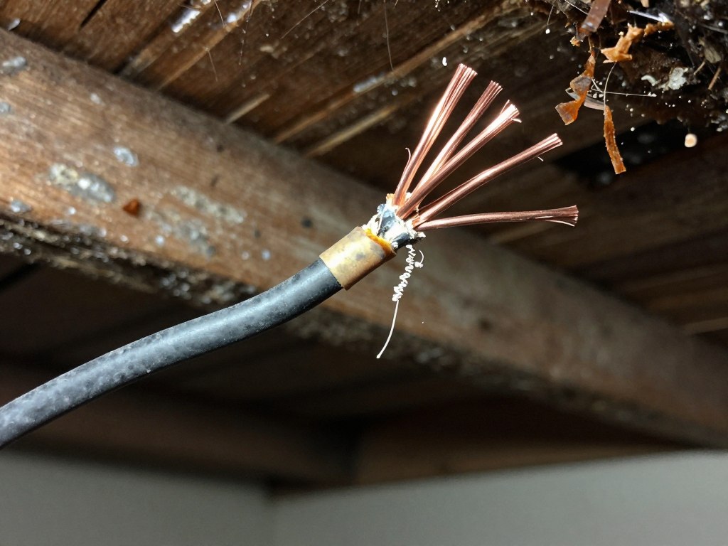 Rodent damage to home electrical wiring and insulation in Cape Coral attic